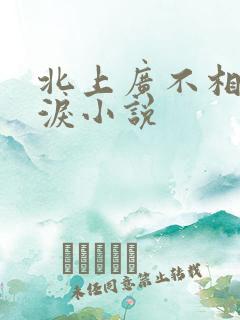 北上广不相信眼泪小说