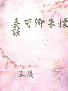 秦可卿朱怀镜小说