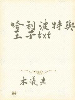 哈利波特与混血王子txt