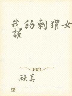 我的刺猬女孩小说