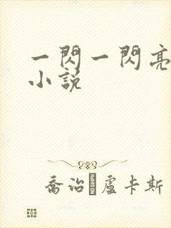 一闪一闪亮晶晶小说