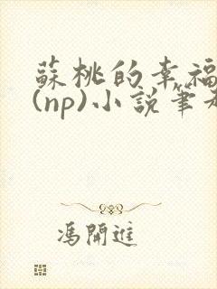 苏桃的幸福生活(np)小说笔趣阁沐沐