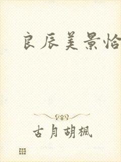 良辰美景恰似你