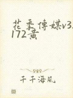 花季传媒v3.172黄