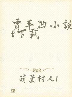 贾平凹小说txt下载