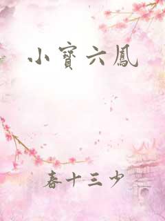 小宝六凤