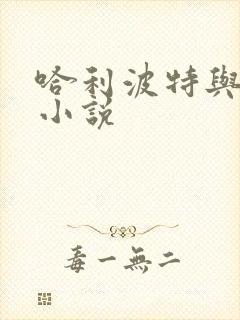 哈利波特与密室小说