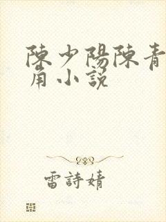 陈少阳陈青帝主角小说