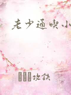 老少通吃小说