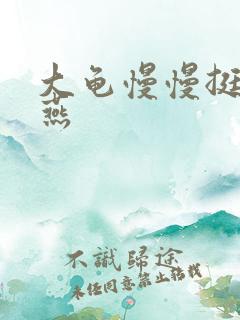 大龟慢慢挺进张燕