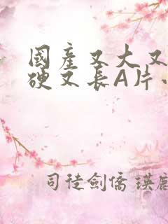 国产又大又粗又硬又长A片小说