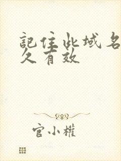 记住此域名记永久有效