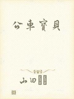 公车宝贝