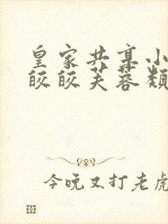 皇家共享小公主皎皎芙蓉类小说