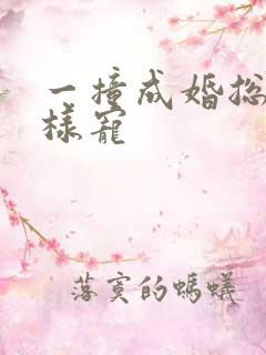 一撞成婚总裁花样宠
