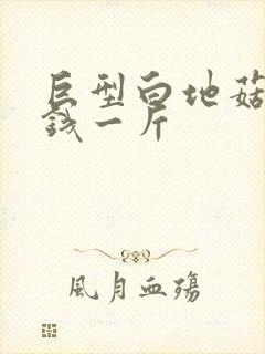 巨型白地菇多少钱一斤