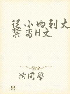 从小肉到大师傅禁脔H文