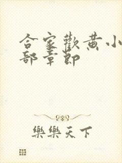 合家欢黄小梅全部章节