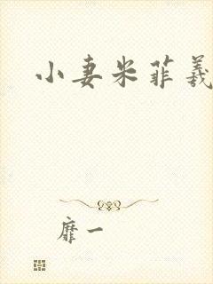 小妻米菲羲捷