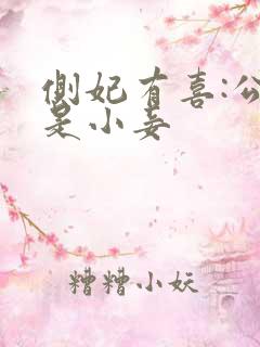 侧妃有喜:公主是小妾