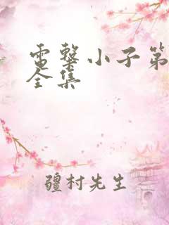 电击小子第二部全集