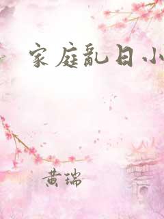 家庭乱日小说