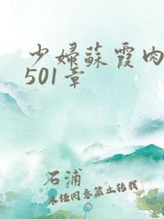 少妇苏霞肉欲第501章