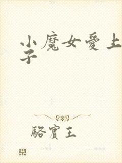 小魔女爱上皇太子