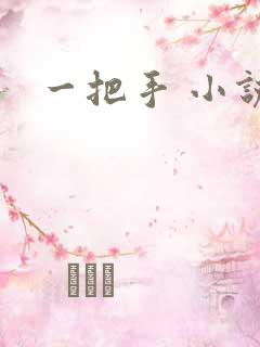 一把手 小说