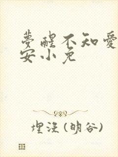 梦醒不知爱欢凉安小免