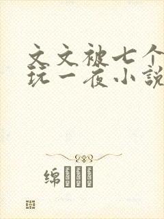文文被七个男人玩一夜小说