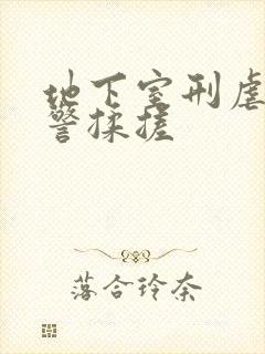 地下室刑虐女刑警揉搓