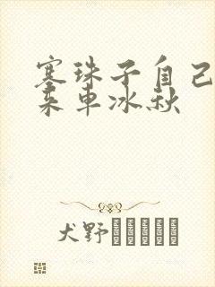 塞珠子自己排出来车冰秋