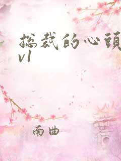 总裁的心头宝1v1