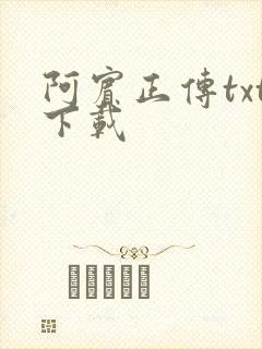 阿宾正传txt下载