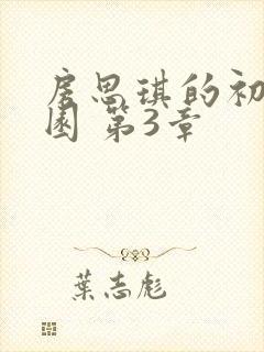 房思琪的初恋乐园 第3章