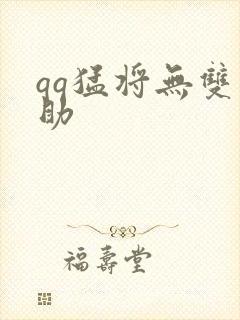 qq猛将无双辅助