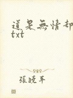 道是无情却有情txt