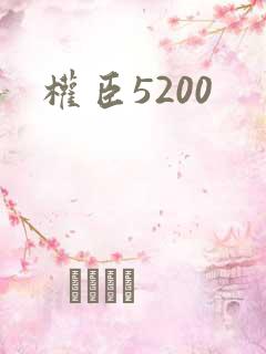 权臣5200