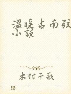 温暖占南弦尹衿小说