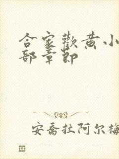 合家欢黄小梅全部章节