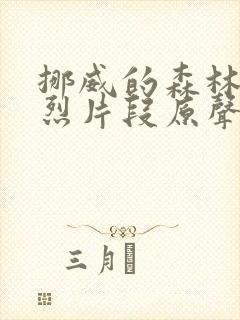 挪威的森林的激烈片段原声