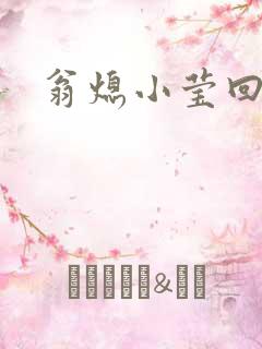 翁熄小莹回乡下