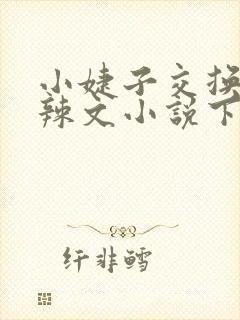 小婕子交换系列辣文小说下载