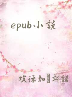 epub小说