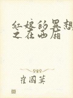 红娘的异想世界之在西厢