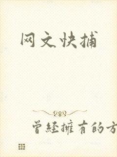 网文快捕