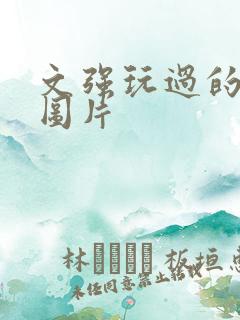 文强玩过的女人图片