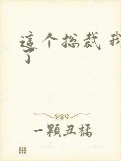 这个总裁 我要了