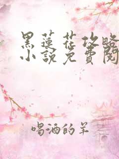 黑莲花攻略手册小说免费阅读全文